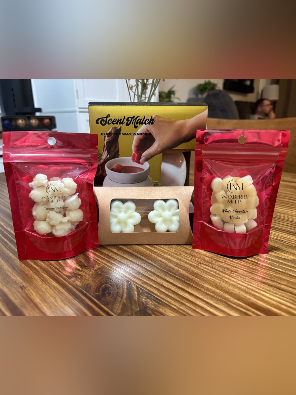 4 Piece Gift Set of Electric Wax Warmer + Hand Crafted Scented Wax Melts